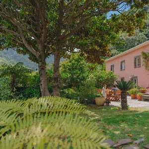 Guest house Madeira Surf, Sao Vicente (Madeira)
